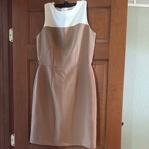 Elegant Two-Tone Sleeveless Dress